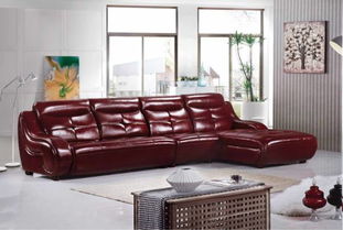 尤納斯家居真皮沙發(fā)保養(yǎng) 因?yàn)檎滟F，所以珍惜