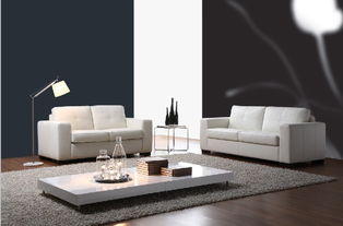 新年家居美容 家具清潔保養全攻略與日常保潔技巧