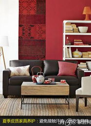 夏季家居保養全攻略 布藝與皮質家具的養護指南